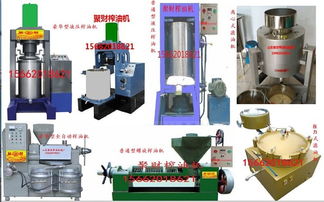 汉中宁强菜籽螺旋榨油机厂家直销 小型家用设备价格解析与选购指南